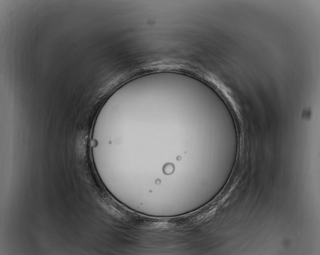 X0000100780153200806191025