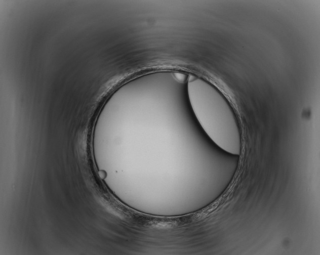 X0000100780155200806191025