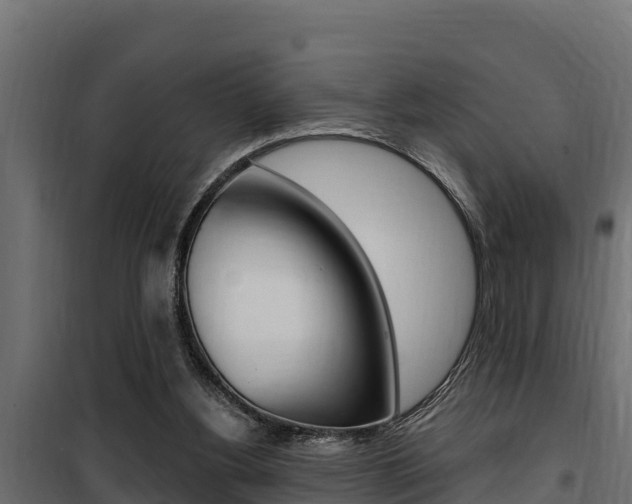 X0000100780156200806191025