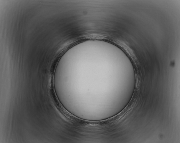 X0000100780157200806191025