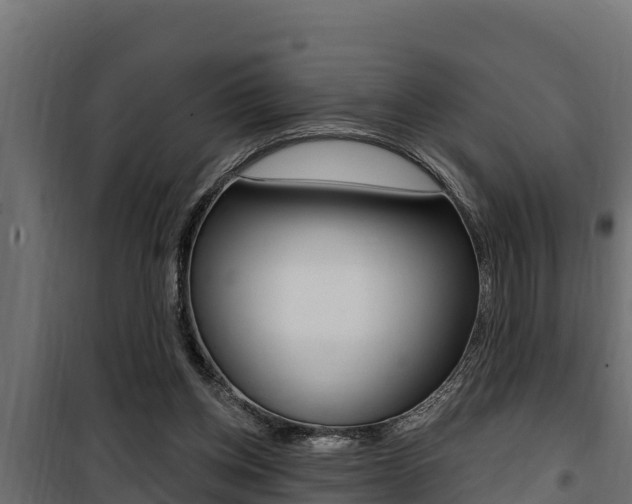 X0000100780158200806191025