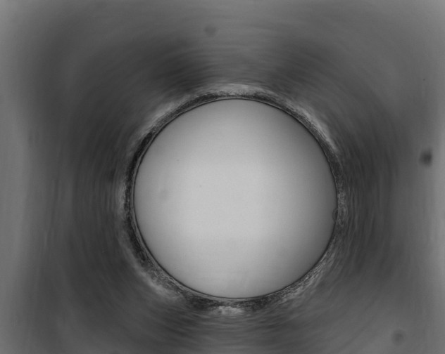 X0000100780159200806191025