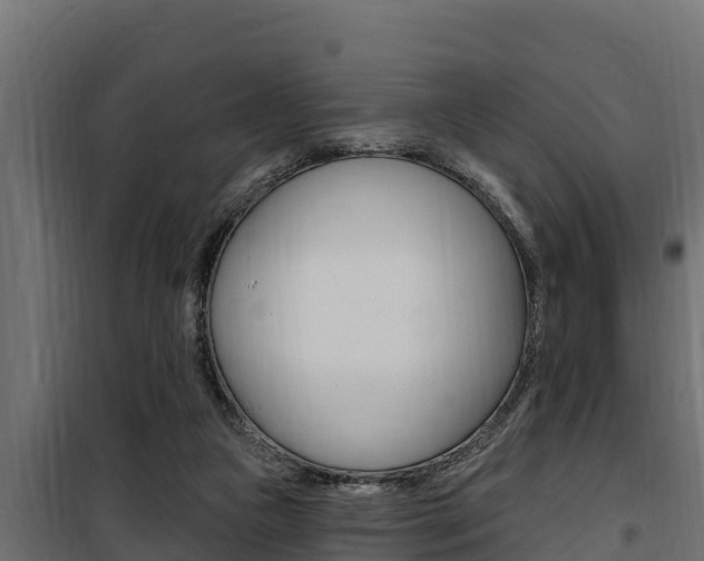 X0000100780161200806191025