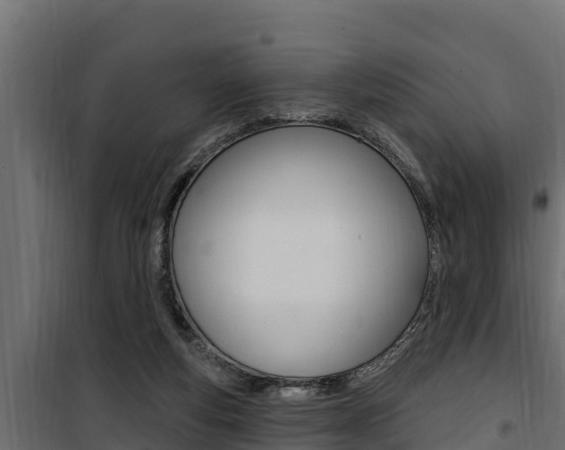 X0000100780163200806191025