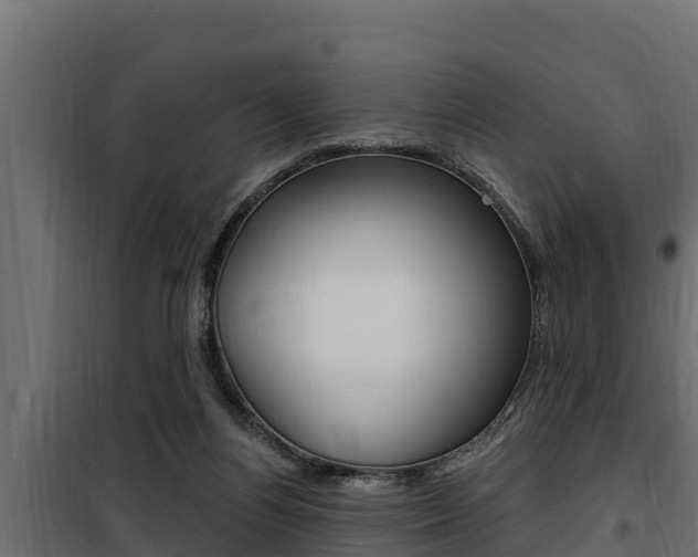 X0000100780164200806191025