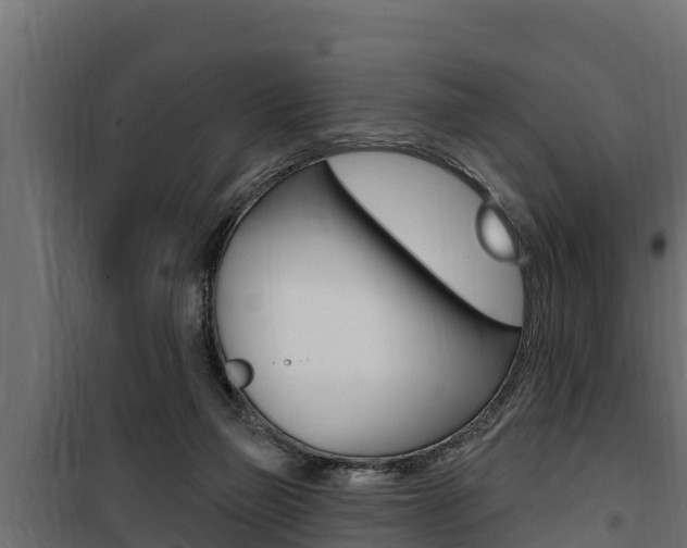 X0000100780165200806191025