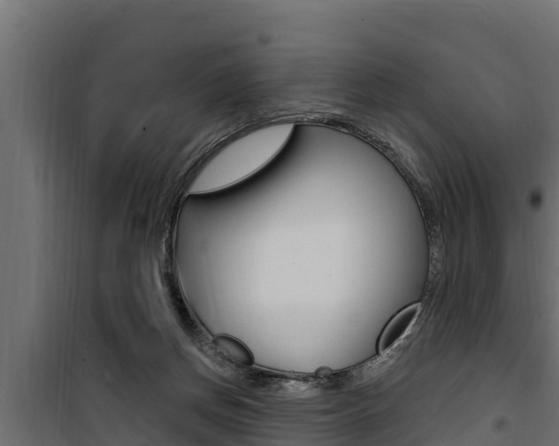 X0000100780166200806191025