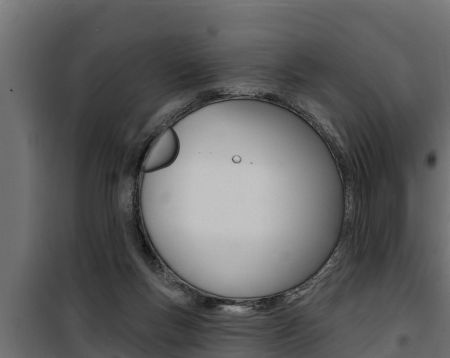 X0000100780167200806191025