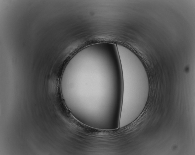 X0000100780168200806191025