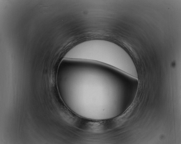 X0000100780170200806191025