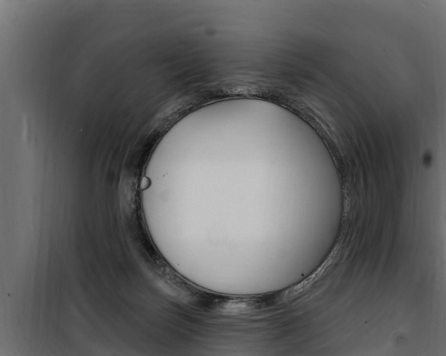 X0000100780171200806191025