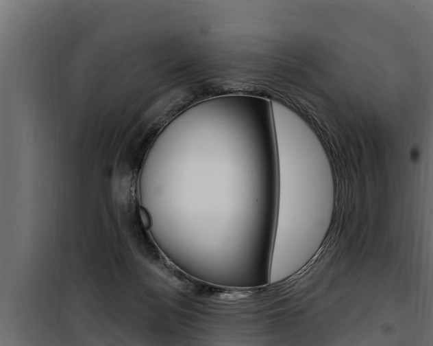 X0000100780172200806191025