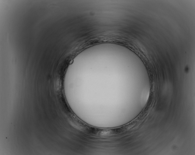 X0000100780173200806191025