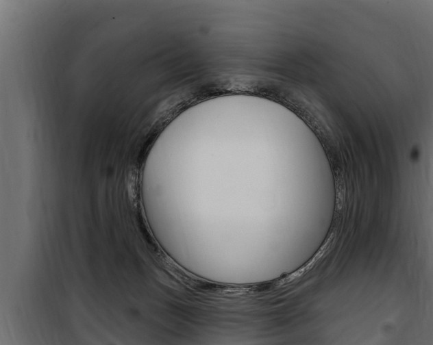 X0000100780175200806191025