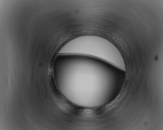 X0000100780176200806191025