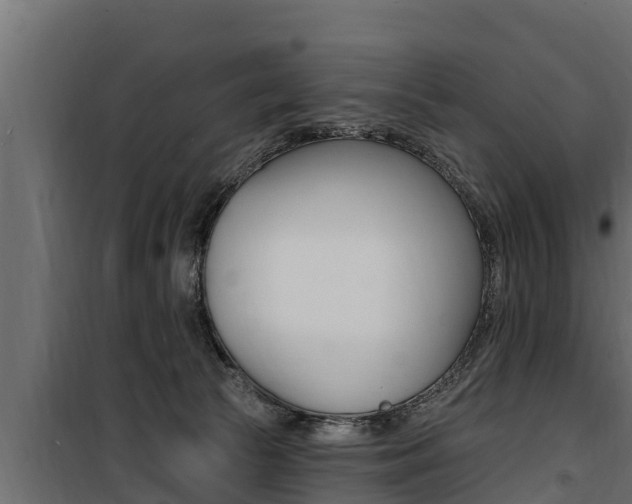 X0000100780177200806191025