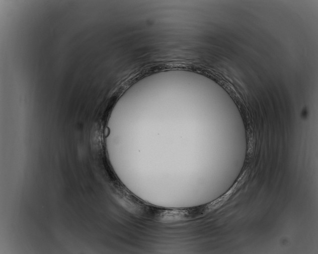 X0000100780179200806191025