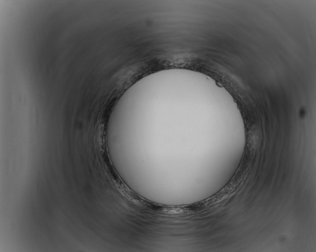 X0000100780181200806191025