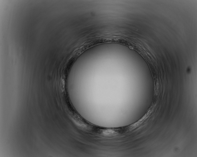 X0000100780183200806191025