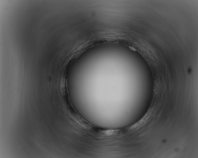 X0000100780184200806191025