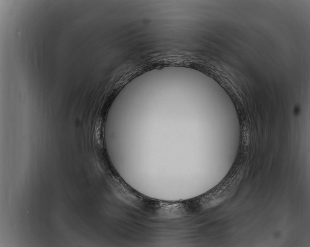 X0000100780185200806191025