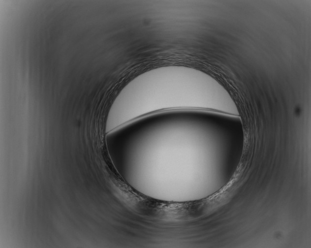 X0000100780186200806191025