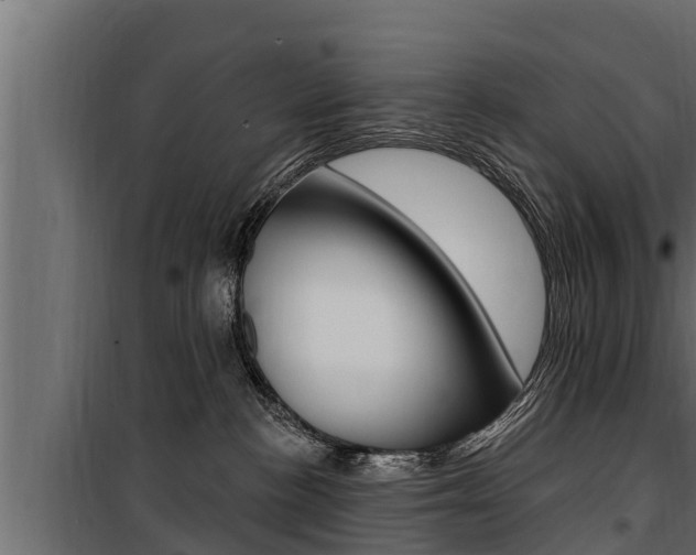 X0000100780188200806191025