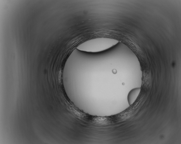 X0000100780189200806191025