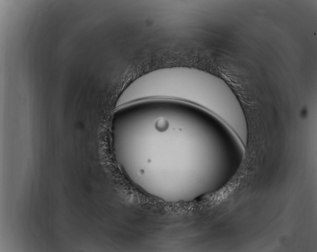 X0000100780192200806191026