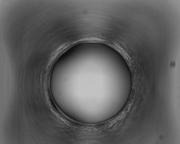 X0000100780193200806191025