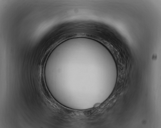 X0000100780194200806191025