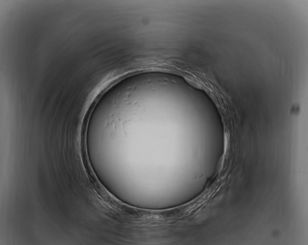 X0000100780195200806191025