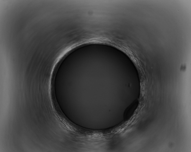 X0000100780196200806191025