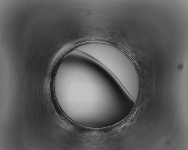 X0000100780197200806191025