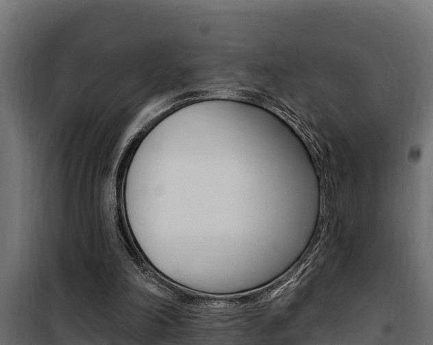 X0000100780198200806191025