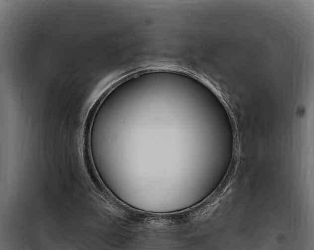 X0000100780199200806191025