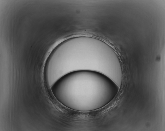 X0000100780200200806191025