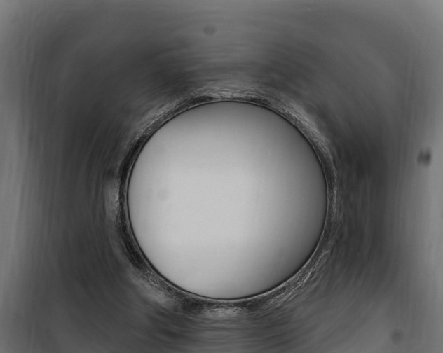 X0000100780202200806191025