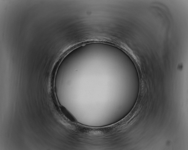 X0000100780203200806191025