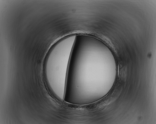 X0000100780204200806191024