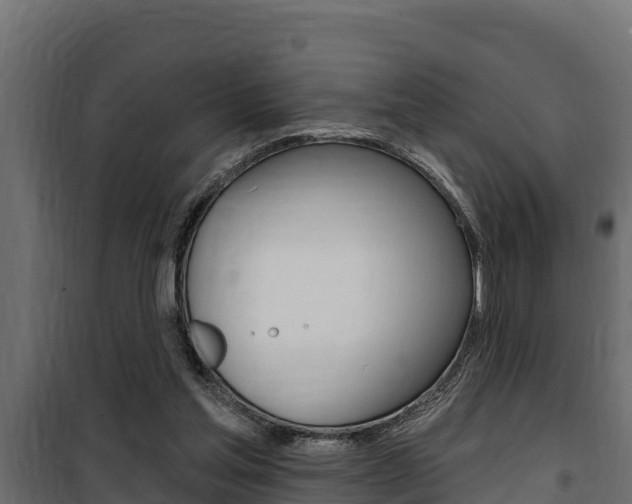 X0000100780205200806191024