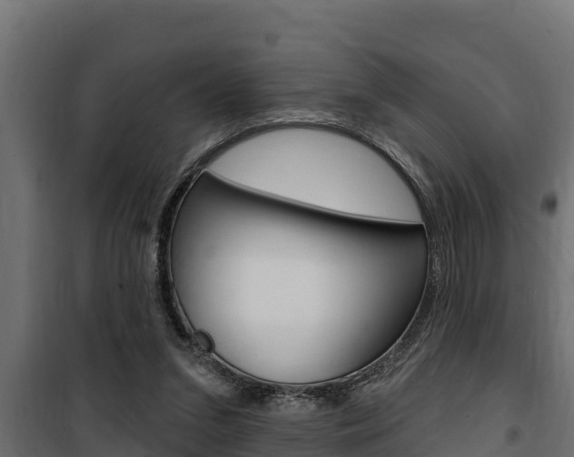 X0000100780207200806191024