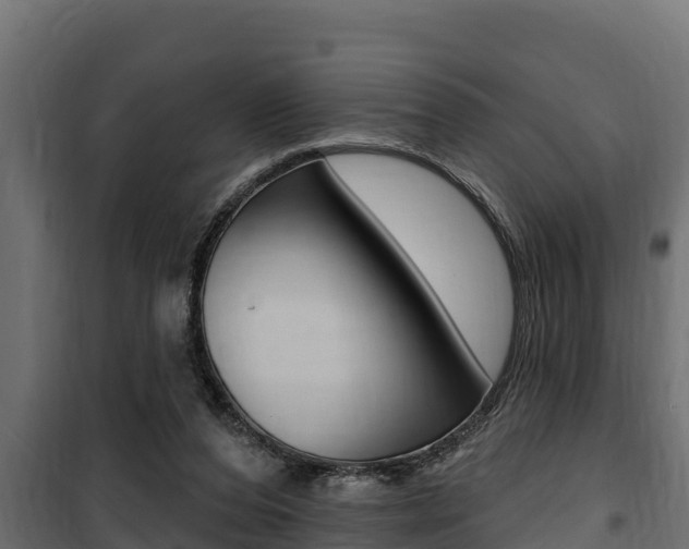 X0000100780208200806191024