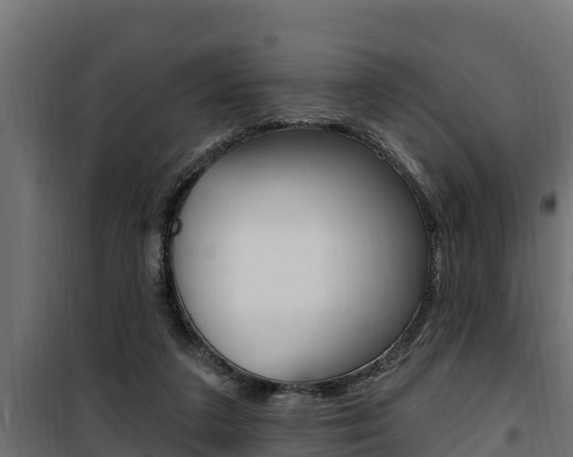 X0000100780211200806191024