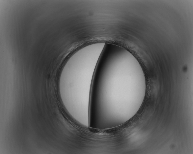 X0000100780212200806191024