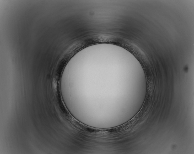 X0000100780214200806191024