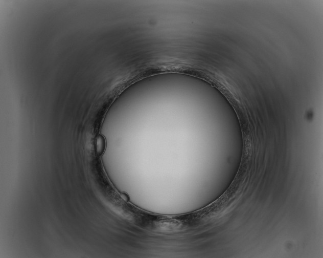 X0000100780215200806191024