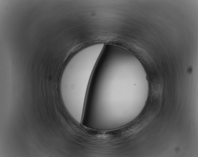 X0000100780216200806191024