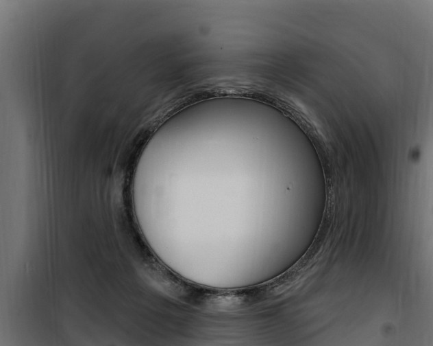 X0000100780217200806191024