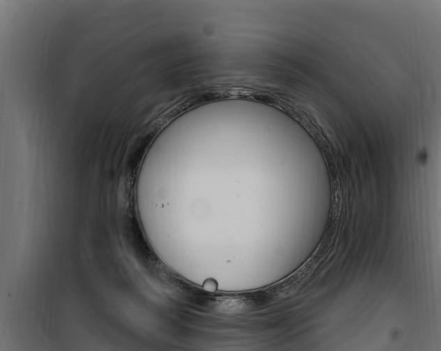 X0000100780218200806191024